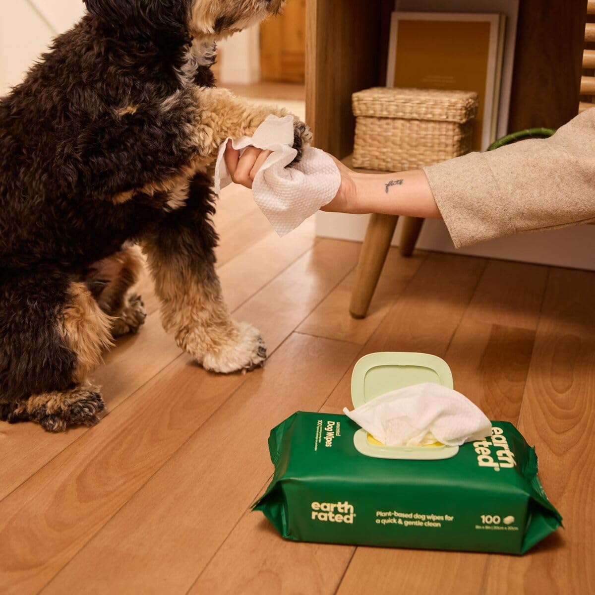 Earth Rated Pet Wipes – Unscented, Hypoallergenic Cleaning Wipes for Dogs & Cats, 100 Count